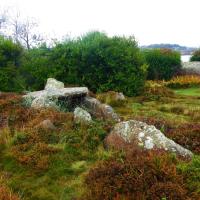 Trégastel (Côtes d'Armor)_Dolmen de l'Île Renote
