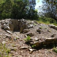 Viols-le-Fort (34)_Dolmen de Cambous