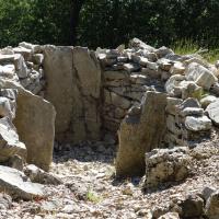 Viols-le-Fort (34)_Dolmen de Cambous