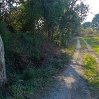 Laroque des Albères_Saint Génis des Fontaines_Borne ou menhir ?