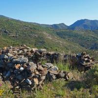 Banyuls-sur-Mer
