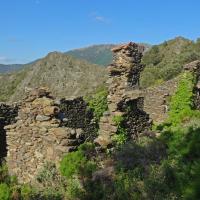 Banyuls-sur-Mer_Tines d'en Reig