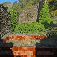 Banyuls-sur-Mer_Tines d'en Reig