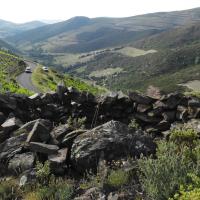 Collioure_Coll de Mollo