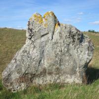 Avevury_Avebury Henge_Sarsen stone rabbit