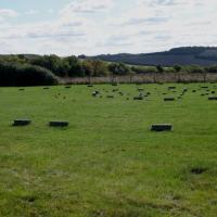 Avebury_The Sanctuary