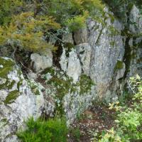 Céret_Roc de nou creus