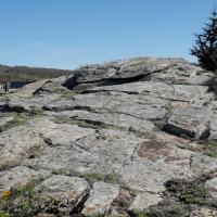 Conat-Ria_Roc de les creus
