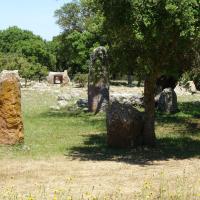 Goni (provincia di Calgliari)_Pranu Muttedu_Domus de Janas