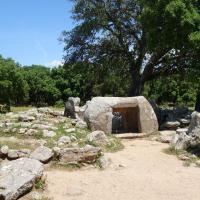 Goni (provincia di Calgliari)_Pranu Muttedu_Domus de Janas
