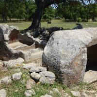 Goni (provincia di Calgliari)_Pranu Muttedu_Domus de Janas