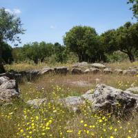Goni (provincia di Calgliari)_Pranu Muttedu