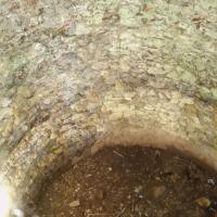 Laroque-des-Albères_Puig Neulos_Pou de neu