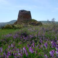 Macomer (provincia di Nuoro)_Nuraghe Santa Barbara