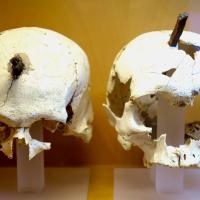 Ruines ibériques d'Ullastret_Musée_Crânes traversés par un clou en fer (exposés rituellement sur les façades)