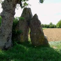 Oppagne (Durbuy, province du Luxembourg)_Trois Menhirs d'Oppagne