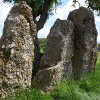 Oppagne (Durbuy, province du Luxembourg)_Trois Menhirs d'Oppagne