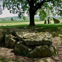 Oppagne (Durbuy, province du Luxembourg)_Dolmen d'Oppagne et menhirs associés