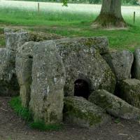 Oppagne (Durbuy, province du Luxembourg)_Dolmen d'Oppagne et menhirs associés
