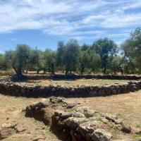 Paulilatino (provincia di Oristano)_village nuragique de Santa Cristina