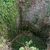 Saint-Marsal_Pou de Florentich