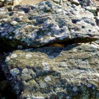 Saint-Michel de Llotes_Dolmen d'Al Fornas