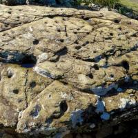 Saint-Michel de Llotes_Dolmen de la Creu de la Llosa