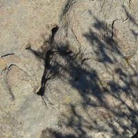 Vilajuïga_Inscultures de la Carena