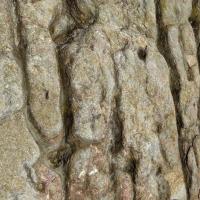 Vilajuïga_Inscultures de Planells