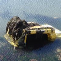 Le Barcarès_L'Ile des Pêcheurs