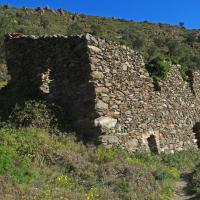 Banyuls-sur-Mer_Tines d'en Reig