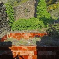 Banyuls-sur-Mer_Tines d'en Reig