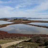 Bages 26