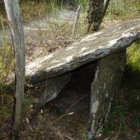 Cantallops_Dolmen del Coll de Madàs II