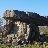 La Vacquerie-et-Saint-Martin-de-Castries_Petit-dolmen de Ferrussac