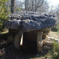 La Vacquerie-et-Saint-Martin-de-Castries_Petit-dolmen de Ferrussac