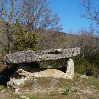 La Vacquerie-et-Saint-Martin-de-Castries_Petit-dolmen de Ferrussac