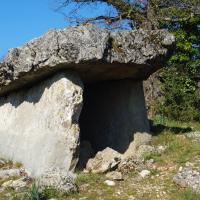 La Vacquerie-et-Saint-Martin-de-Castries_Petit-dolmen de Ferrussac