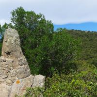 Montalba-Le-Château/Bélesta_La Llauze