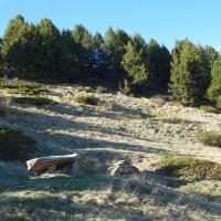 Targasonne_Dolmen de l'Arrel ou de l'Ailler