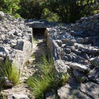 Viols-le-Fort_Dolmen de la Draille