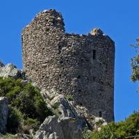 argeles_massane-07_dsc06675.JPG
